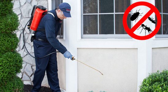 Seben Fare İlaçlama böcek ilaçlama ve haşere kontrolü — ilaclama-tr.com